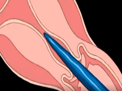 Thumbnail of post image 048